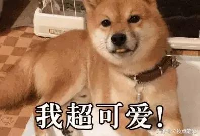 秋冬平价又好用的水乳,推荐8款零差评的夏季水乳