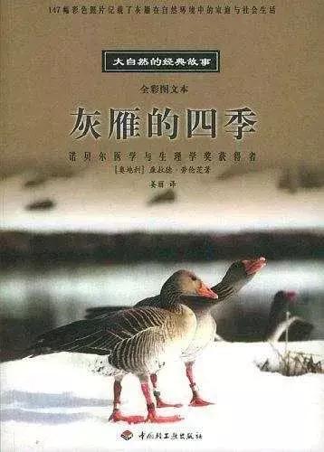 绾㈣眴澶滆瑙嗛,绾㈣眴澶滆