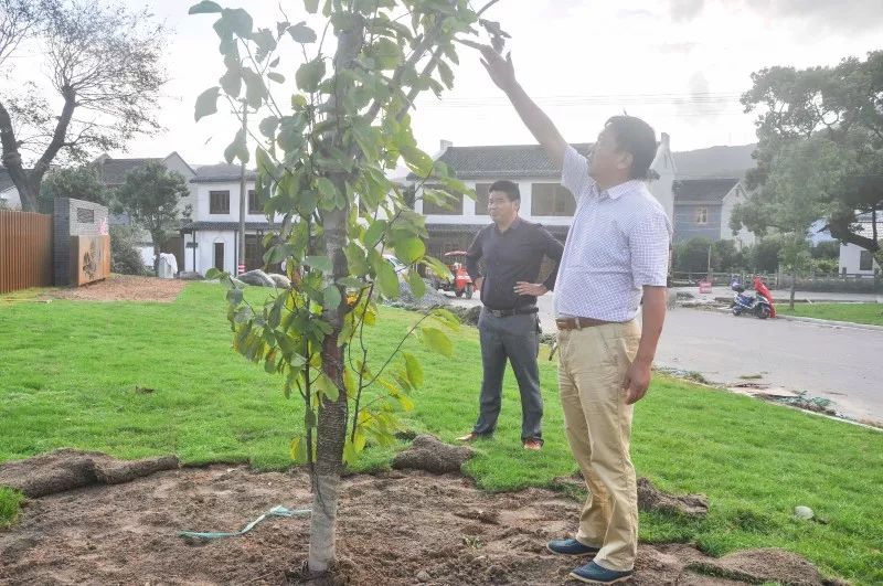 柴桥水芹书记,柴桥街道领导班子