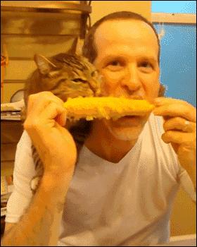 东北特产美食大苞米,安徽特产苞米