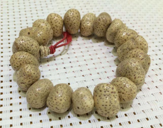 史上最全菩提子品种介绍赶紧收藏,菩提子的种类及图片欣赏