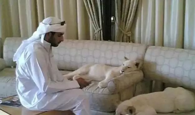 揭秘迪拜的真实生活,记录迪拜真实生活