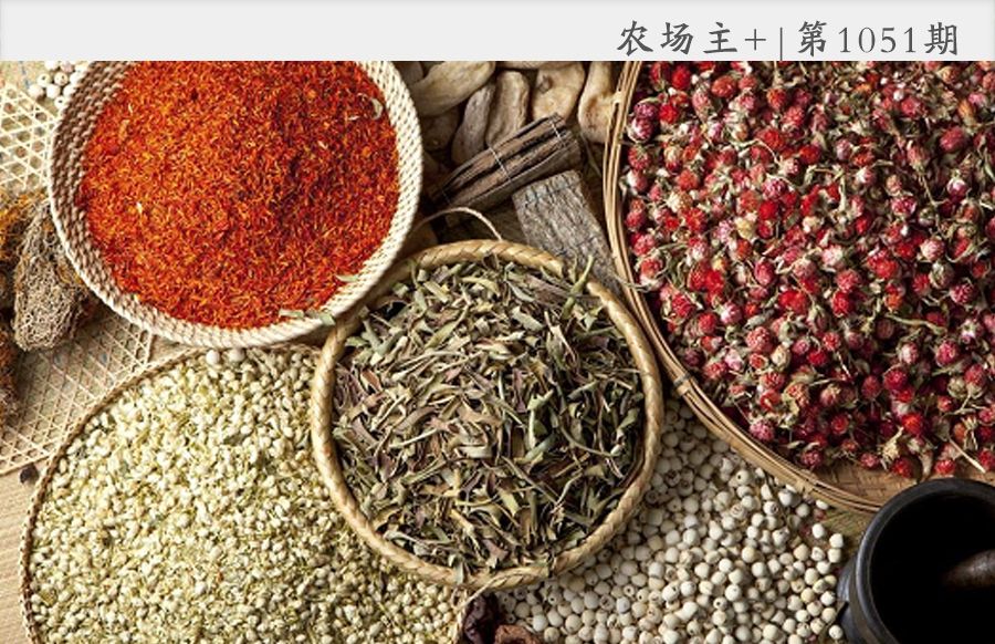 有趣的中药,你认识几种?