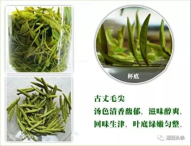 泸溪椪柑品牌现状,泸溪椪柑种植基地