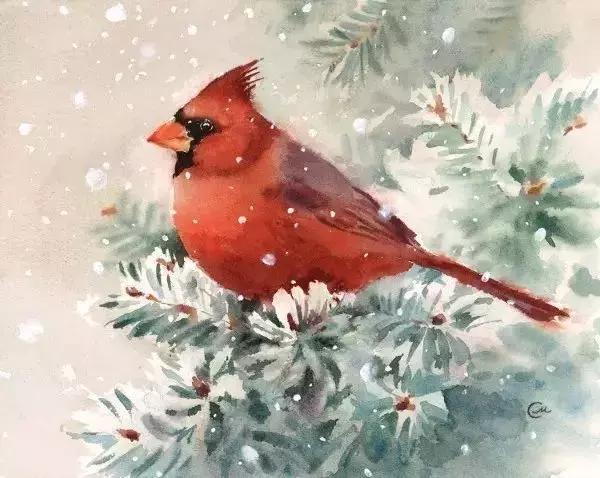 水彩教程颜料,水彩的基本知识与技法