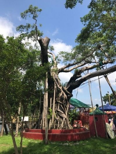 广深港高铁票价,广深港高铁每公里票价