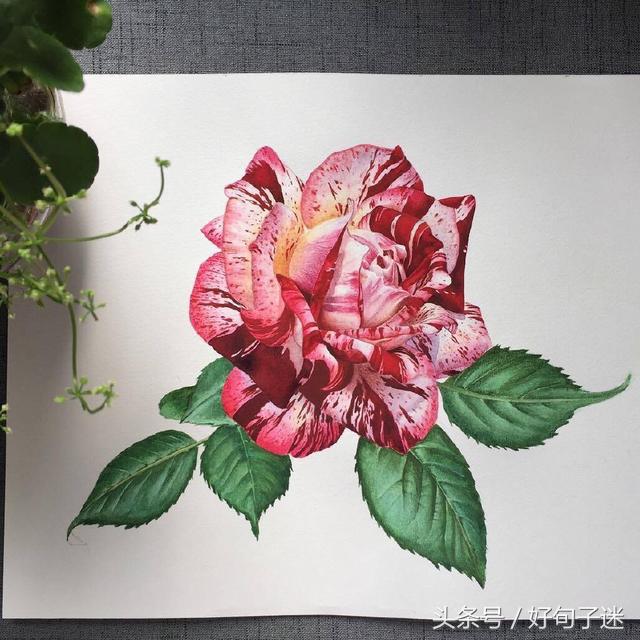 充满诗意的唯美句子图片,优美有意境的句子