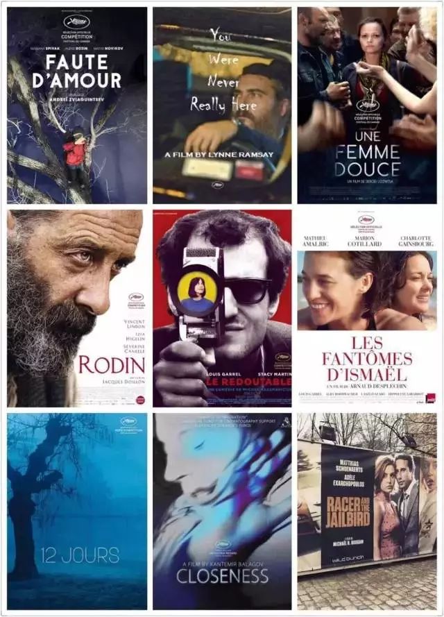 金棕榈是什么档次,金蝉玉叶需要多少钱