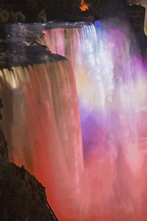 会动的图片大全,会动的照片图片