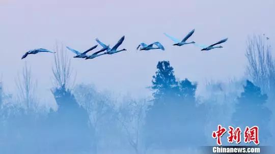 经典霸气古诗台词,古诗词经典台词