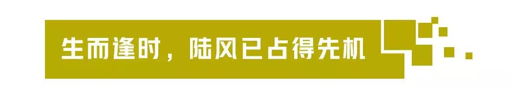 国产硬派越野品牌有哪些,技术一流越野车视频