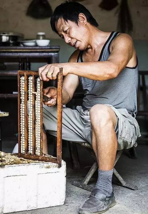 金庸笔下最美的十大旅游景点,金庸笔下的绝美风景