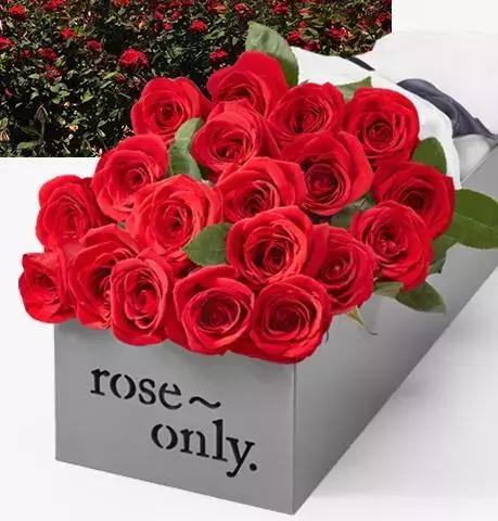 七夕土味情话送礼指南,送七夕礼物的撩妹情话