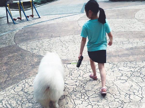 怀孕就不可以养狗？牵他进门就应照顾一生，养犬人都应该知道！