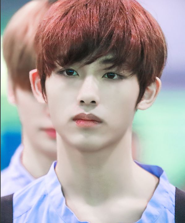 nct一开始中国队的预备成员,nct要来中国吗