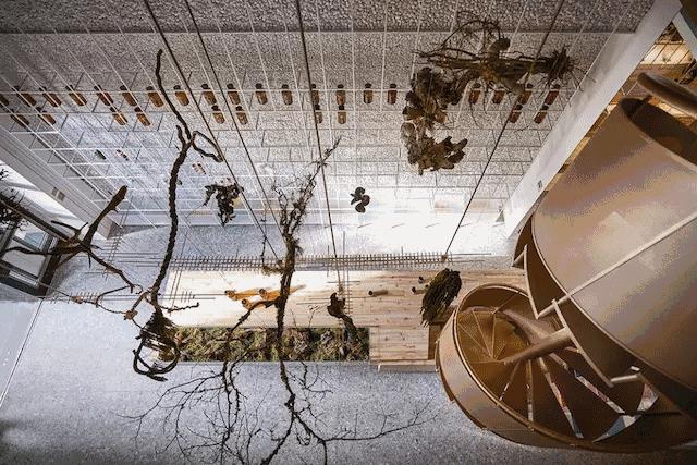 实体店做电商有什么问题 (实体店的电商怎么做的呢)