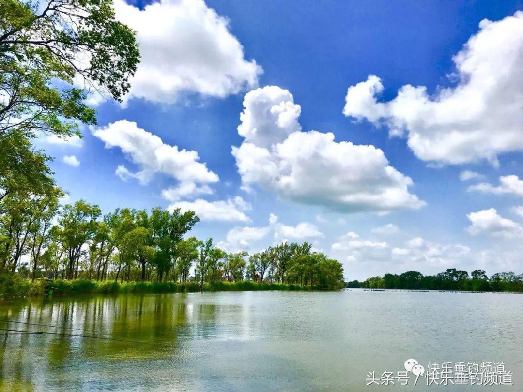 河蟹闹窝不要慌，用对方法可抢大鱼！