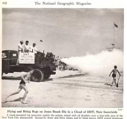 如何彻底消灭世界上所有的蚊子,要想消灭蚊子要克服恐惧