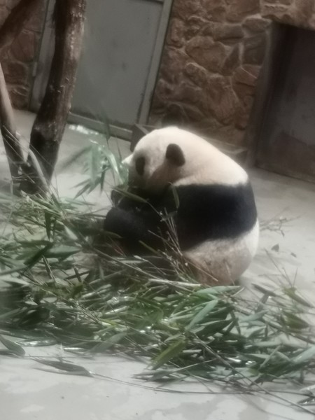 前往泸沽湖自驾游,往泸沽湖出发