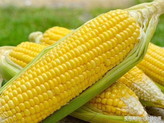 沈阳周边温泉度假村哪里好,沈阳周边别墅度假村