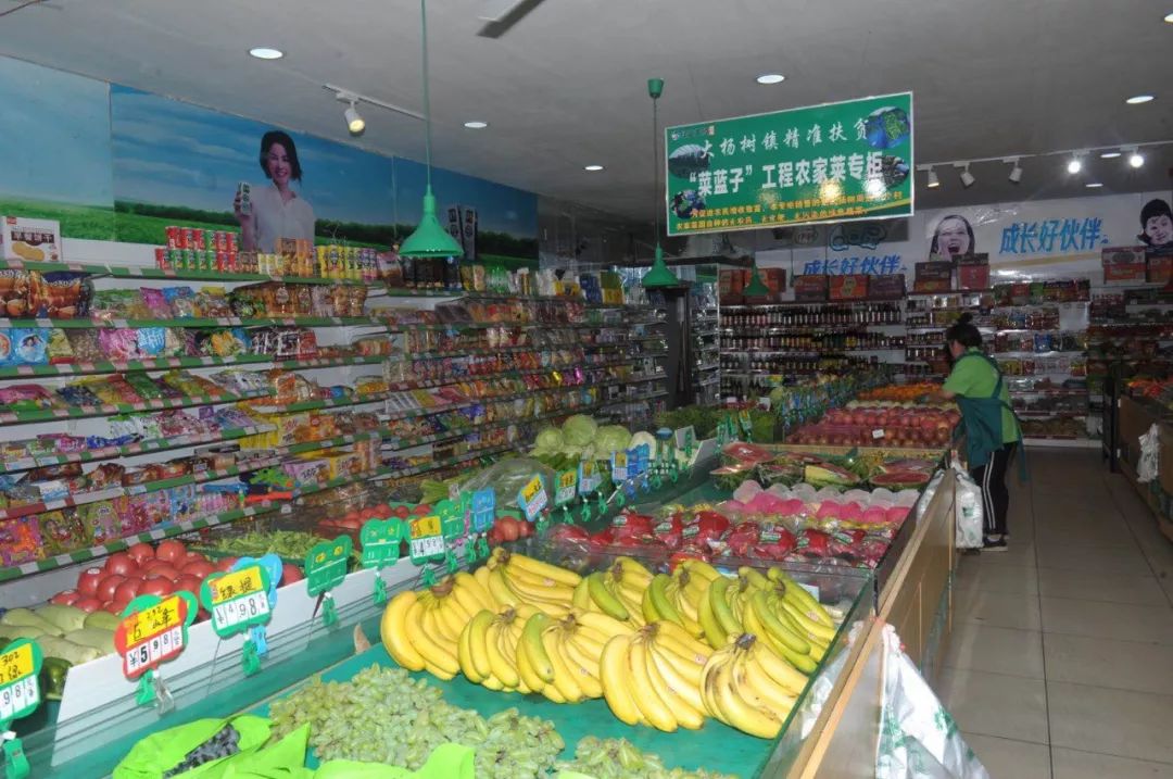 大杨树镇产业,大杨树镇工业园区建设