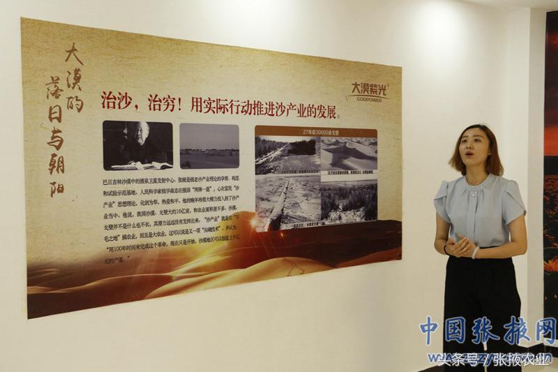 百e国际香港,百e国际平台