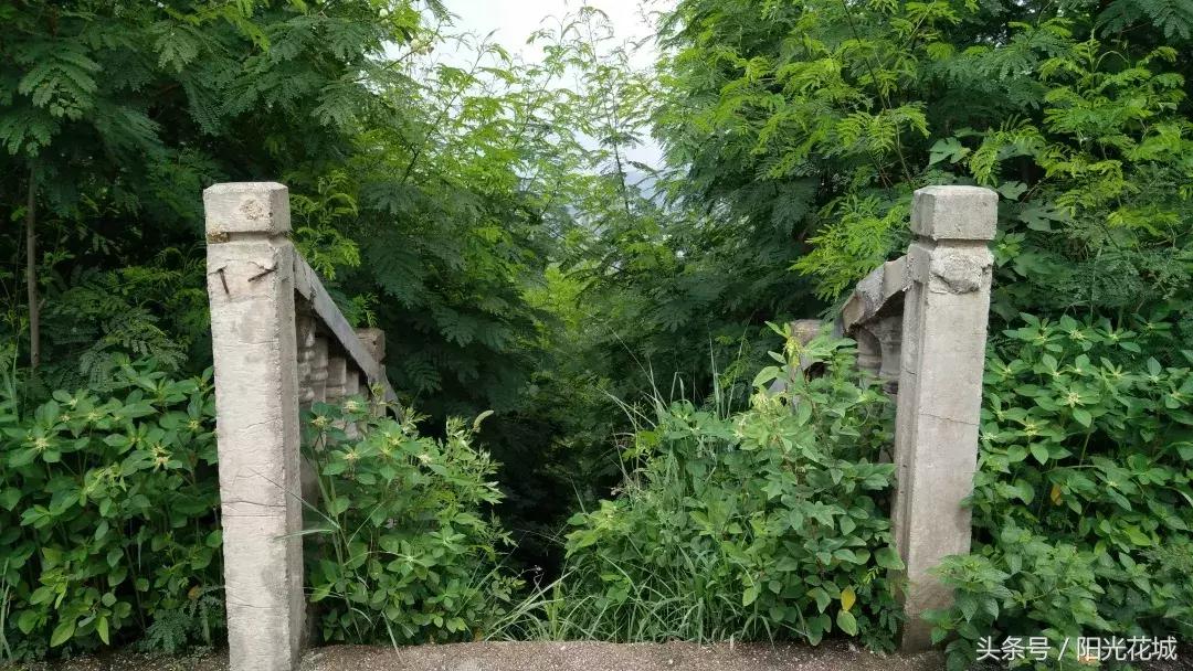 攀枝花的路有多陡,攀枝花最陡的坡