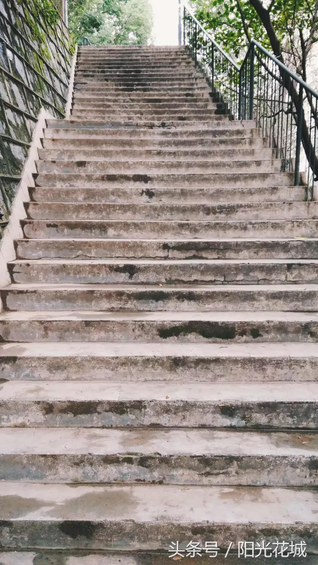 攀枝花的路有多陡,攀枝花最陡的坡