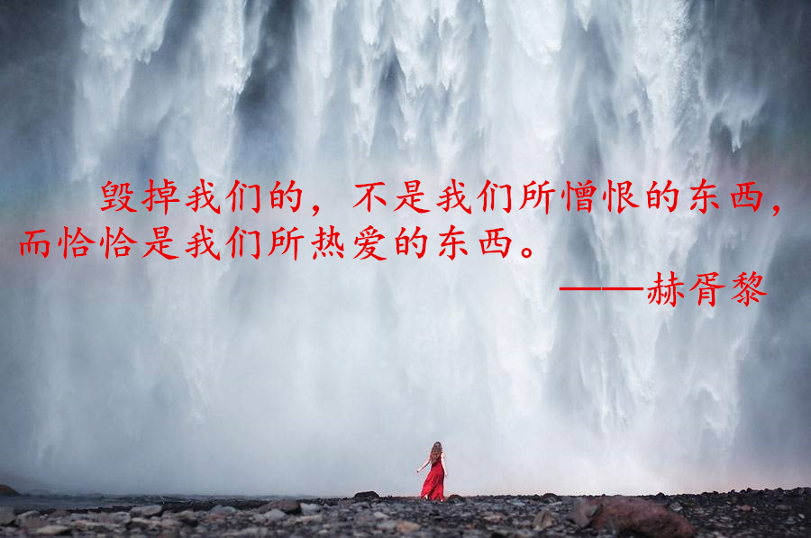 「怎么办」人间有我用坏的时光