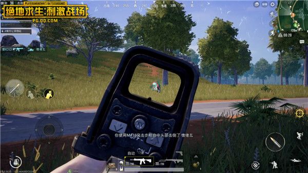 刺激战场近战刚枪击杀集锦,和平精英萌新怎么学会刚枪