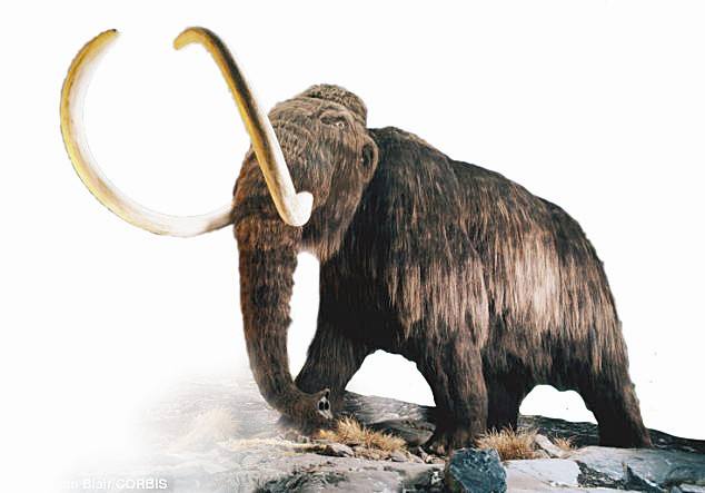 远古时代最大的十种动物,地球巨型动物出现的时期