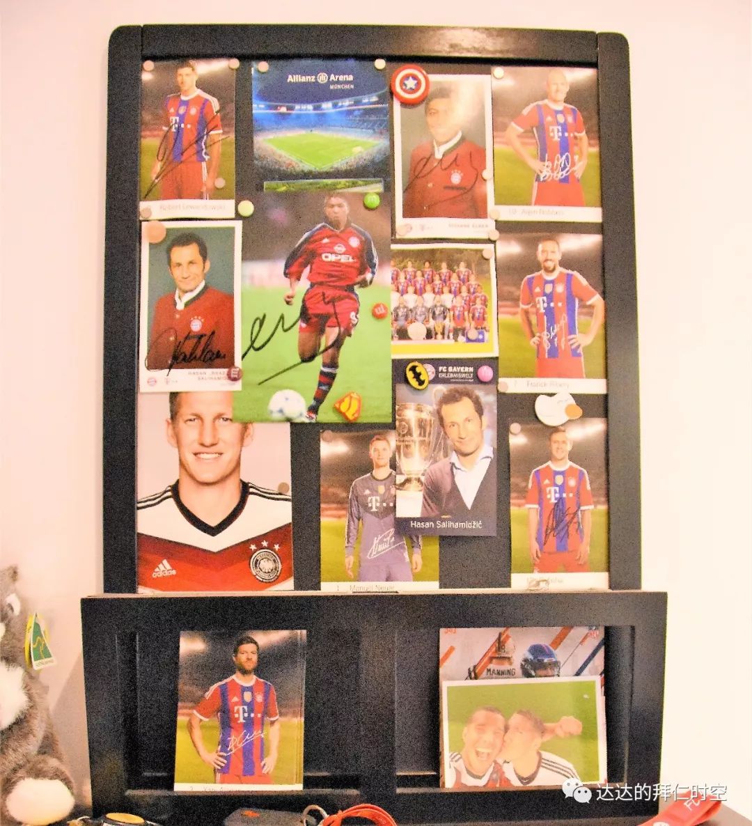 南部风采｜二十余载真南部不离不弃真爱仁