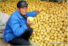 魏延安讲述视频,魏延安为什么这么厉害