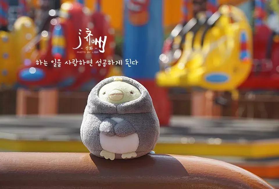 济州好玩,济州岛有啥好玩的景点