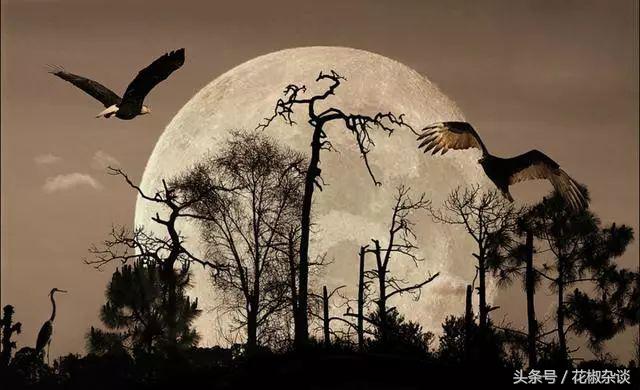 地球是月球的“母亲”？别开玩笑了，从这个角度看，地球可不配