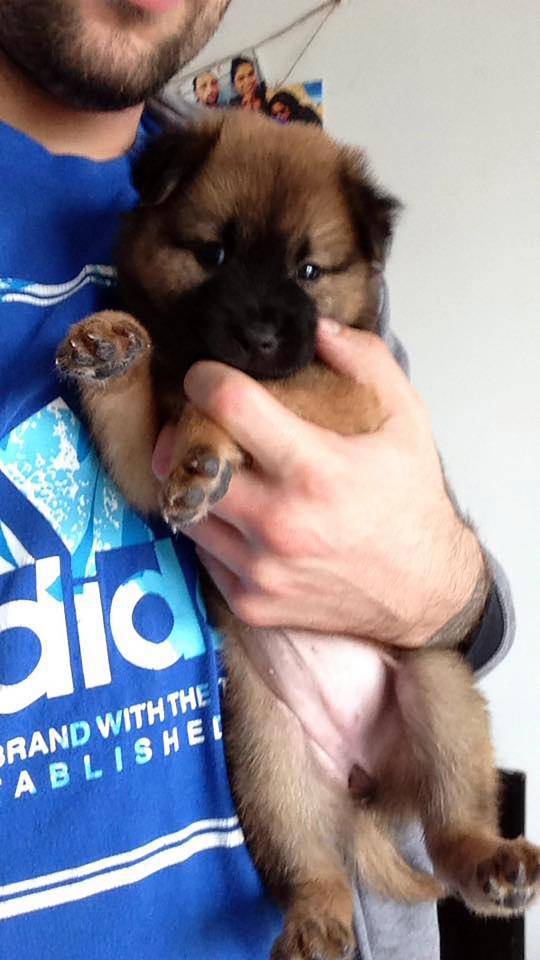 笑笑笑死我了,笑笑笑死人