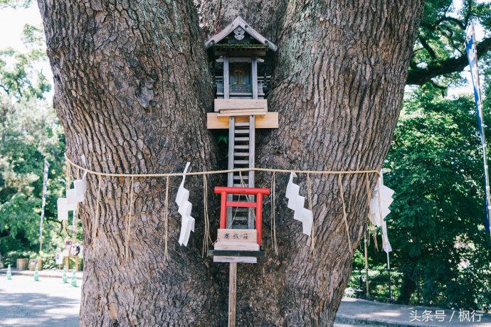 熊本一日游你有哪些攻略,熊本县一日游超全攻略