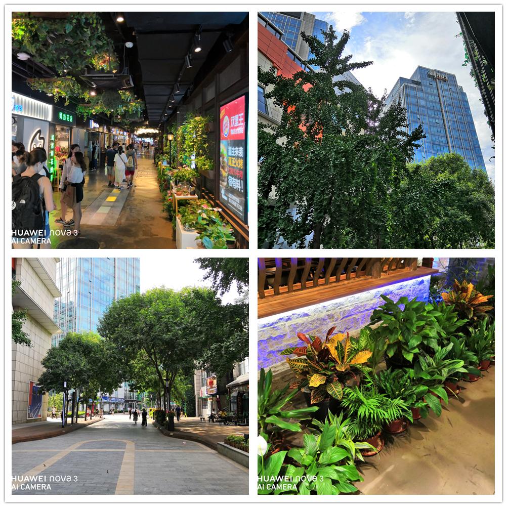 华为nova3详细介绍,华为nova3使用攻略