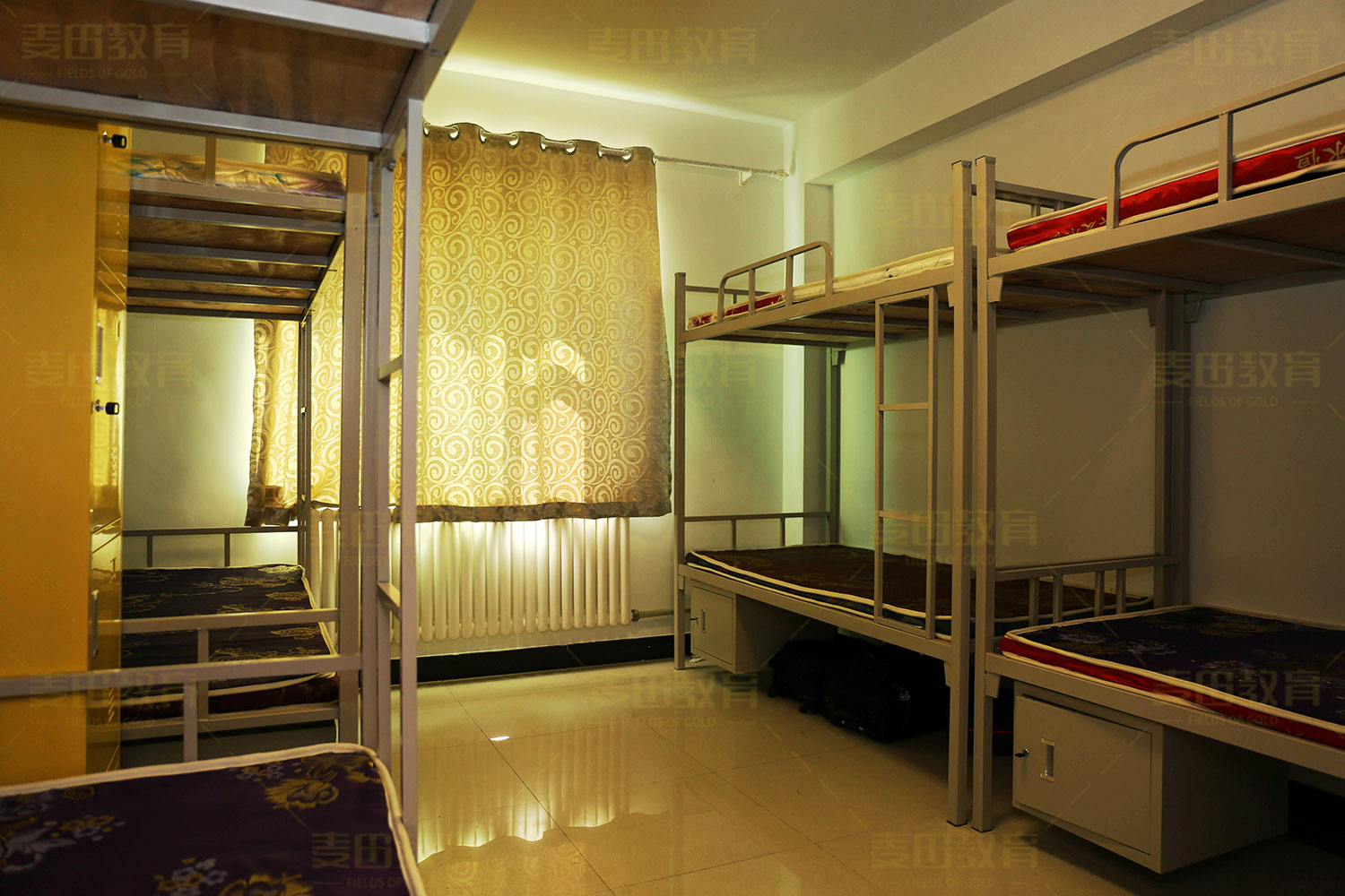 大一新生必看！学生证词条注意事项及购学生票须知