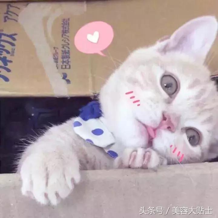 秋冬换季必备眼影,秋冬必备眼影来了