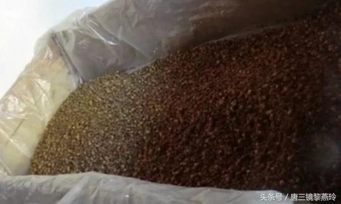 新工艺蒸酒技术操作教程步骤,唐三镜酿大米酒技术