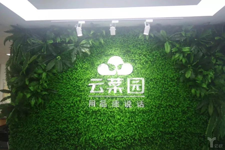 晓分享|“云菜园”获数千万元A轮融资,双店型、全渠道占领济南市场