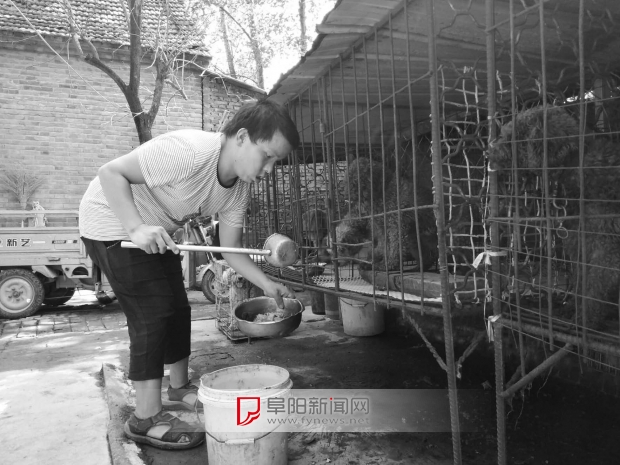 身残志坚爬行养鸡报答养父,身残志坚的小伙养鸡卖蛋报答养父