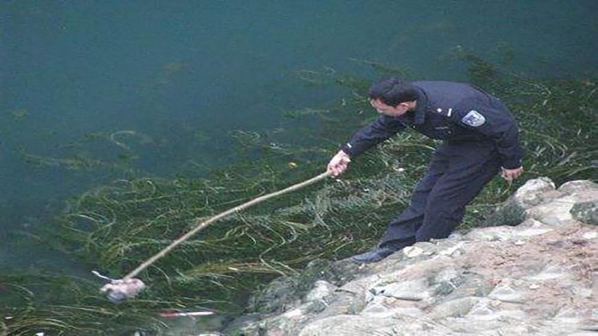 被打胎下来的胎儿去哪里了,被打胎的胎儿会去哪