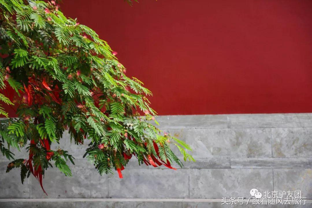 乐亭虹宇国旅月坨岛水上小木屋,月坨岛小木屋景色