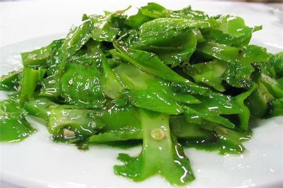 和妈妈第一次一起旅游,三亚潜水旅行攻略