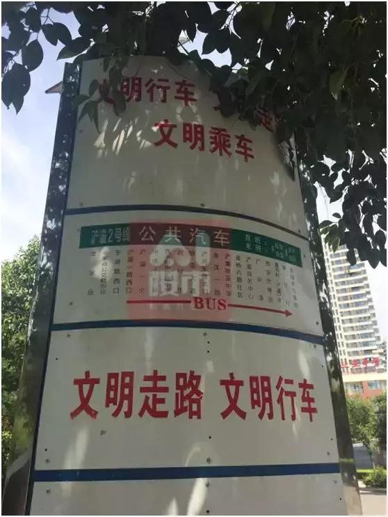 最好的地却建了最“烂”的盘？8月底“浐灞之心“自然界卷土重来