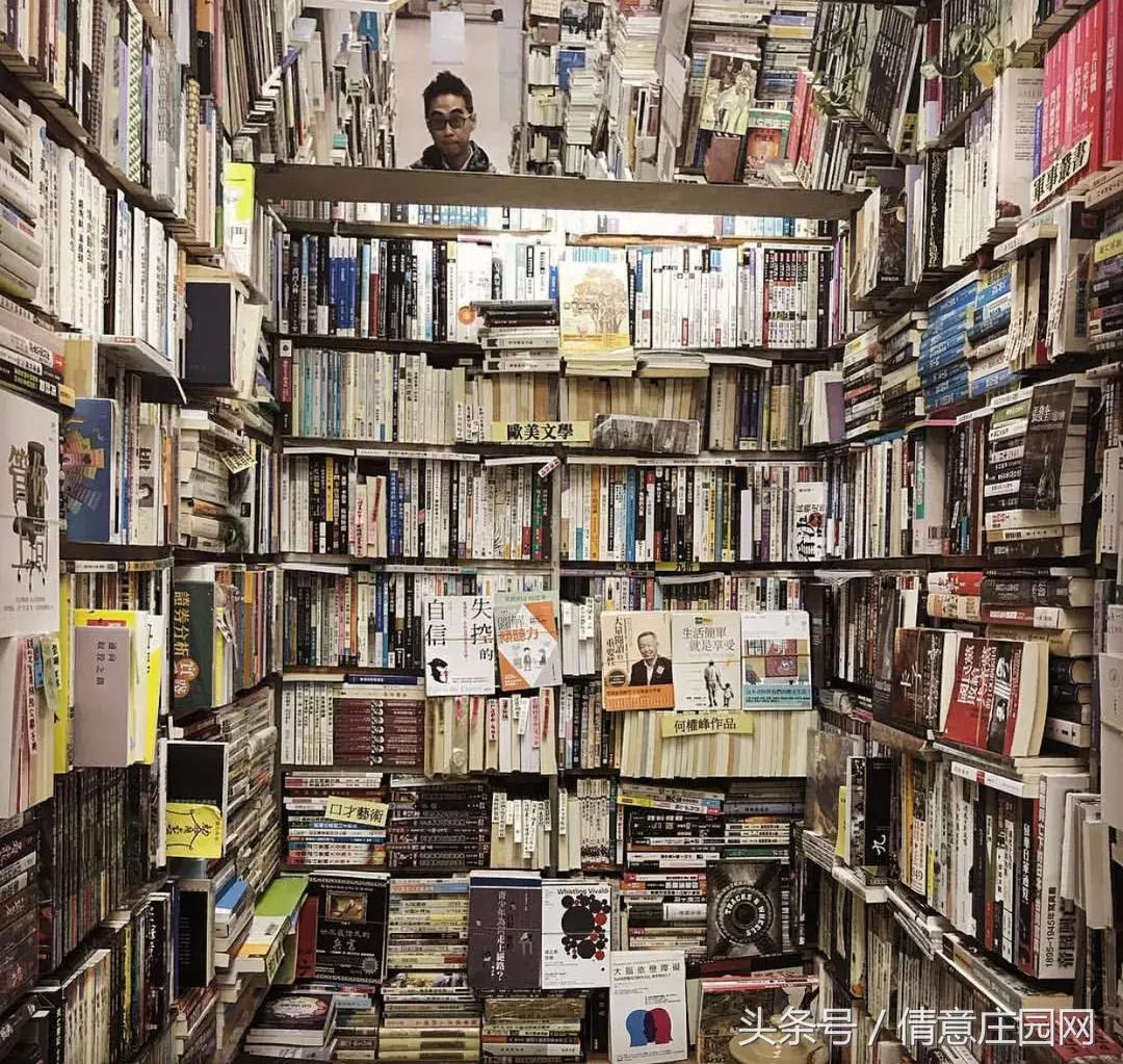 这是一家被喵星人占领的书店