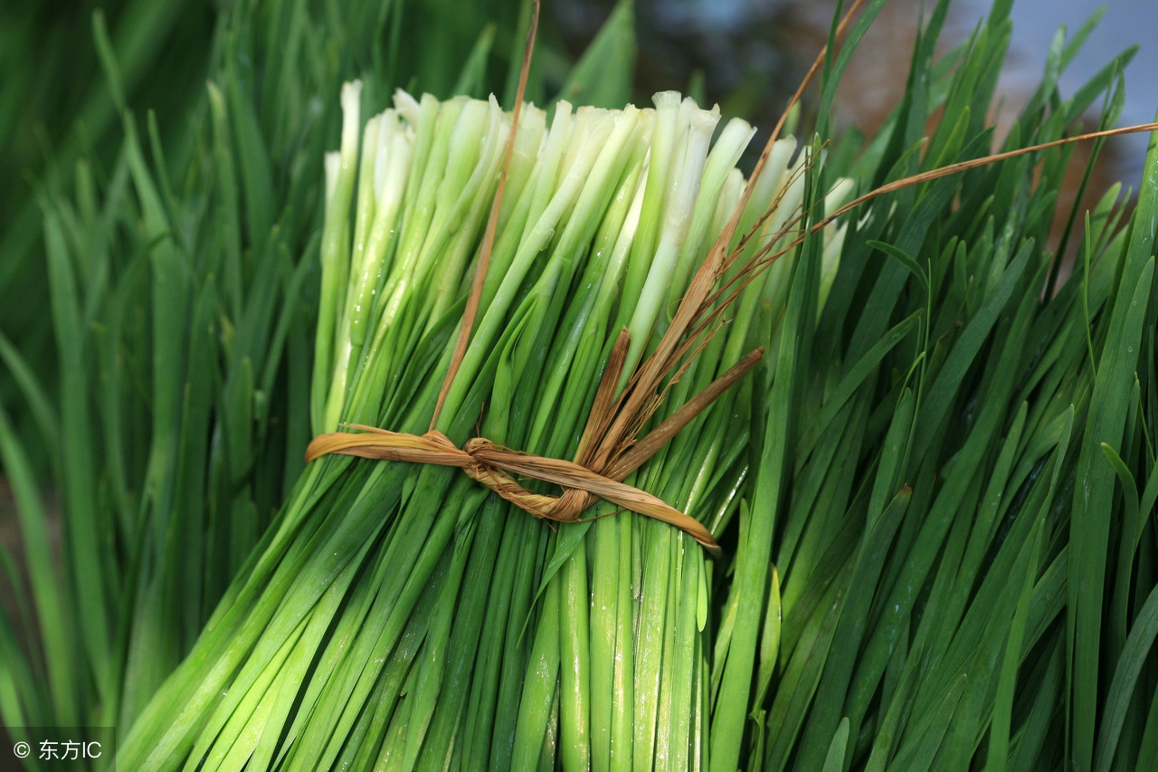 比特币莱特币以太坊是什么,比特币莱特币以太坊的用途有哪些