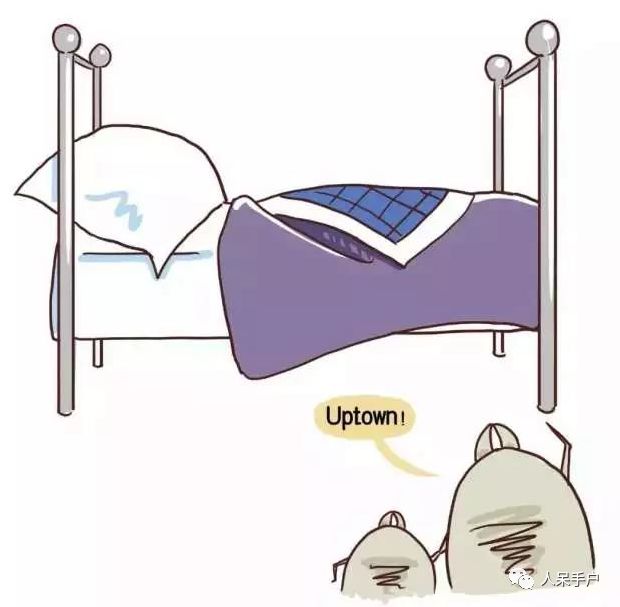 除螨那些事儿,关于除螨的那些事